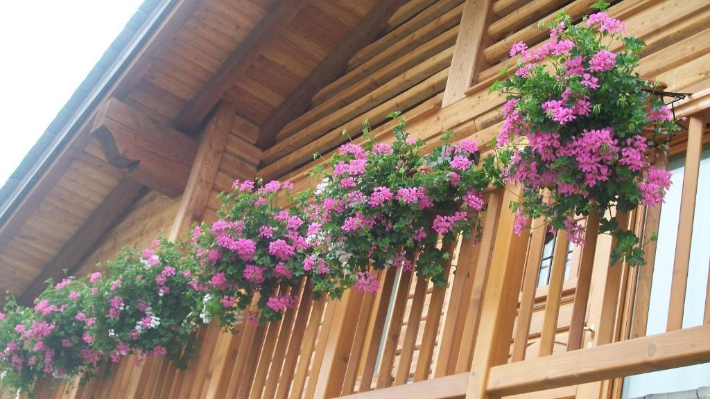 Gresil Aparthotel Champoluc